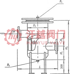 SRBIVF高低接管封頭籃式過濾器